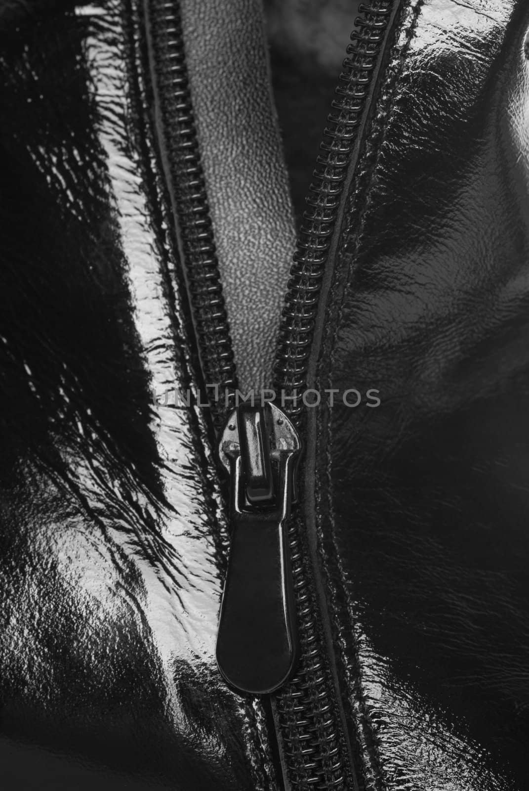Zipper. A leather product, a photo close up