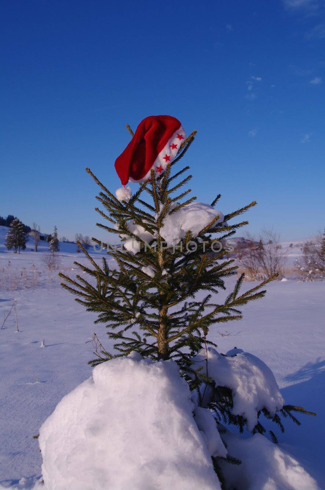 red santa claus hats in a snowy landscape