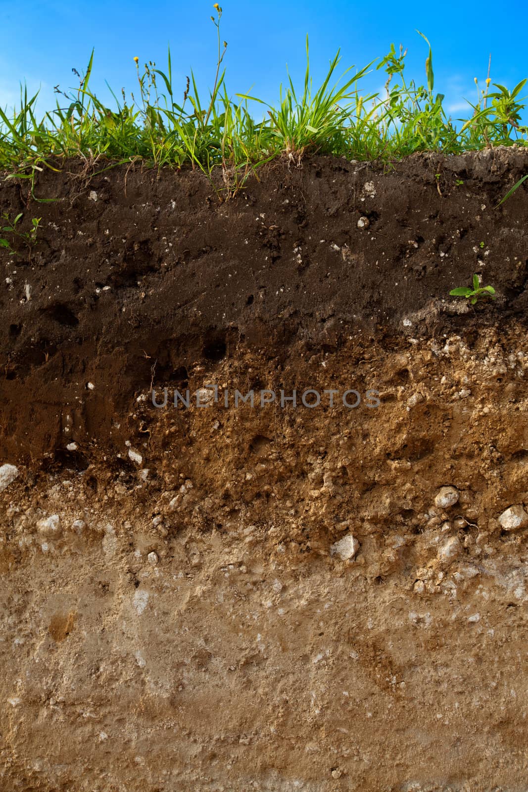 A cut of soil with different layers visible