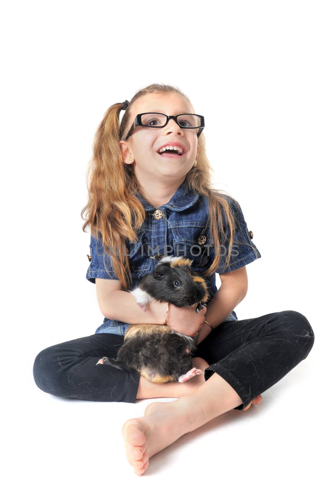 portrait of a laughing little girl and guinea pig in front of white background