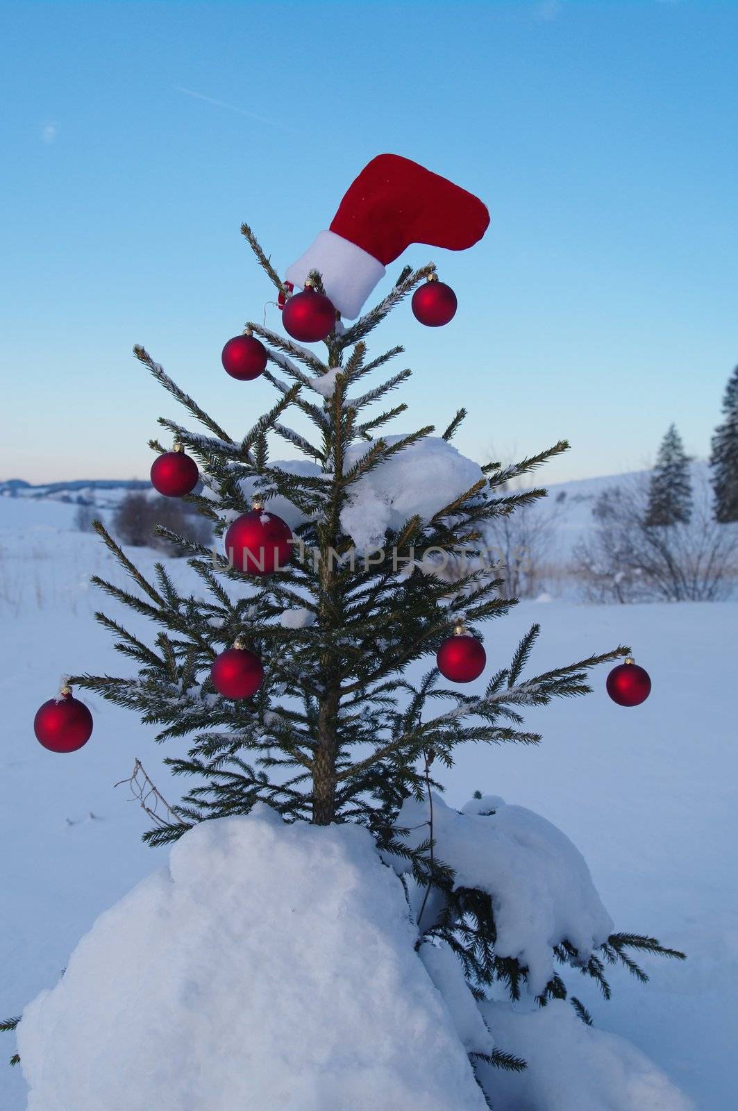 baubles  on a Christmas tree outside in a snowy landscape