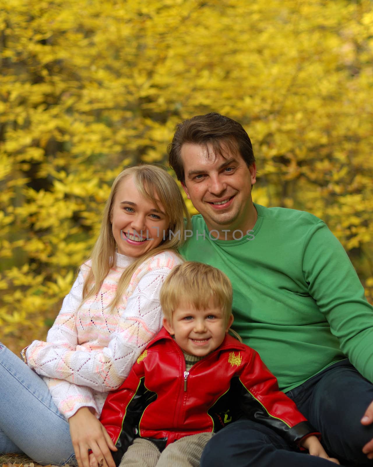 Family. Mum, the daddy, the son in autumn forest. Effective blur a background