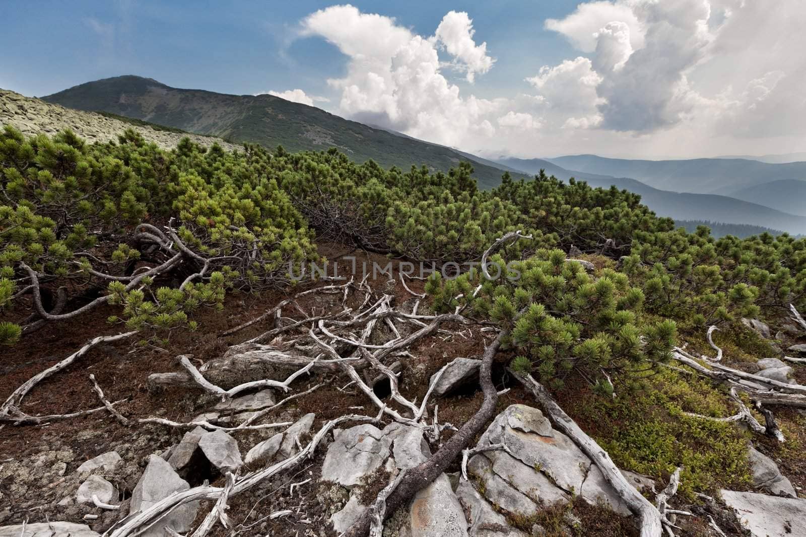 View on the top of the mountain