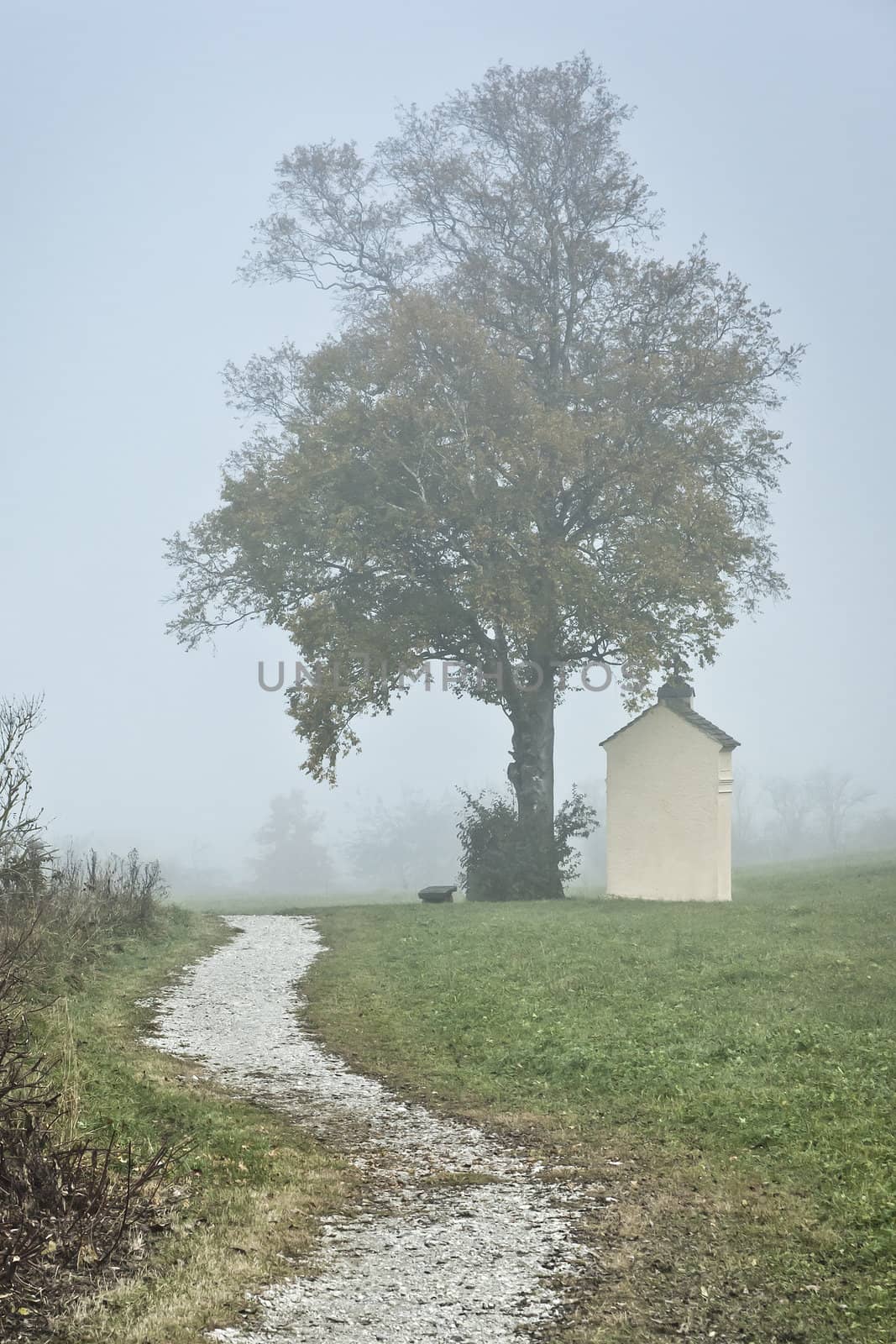 nebel by magann