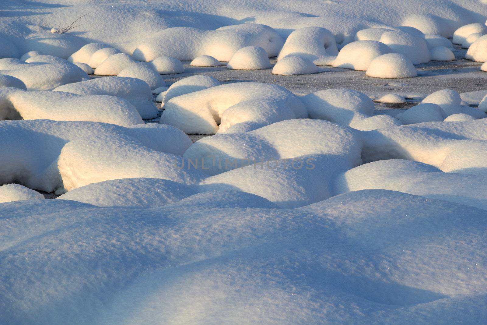 backgruond of fresh snow covers the swamp in sunny day