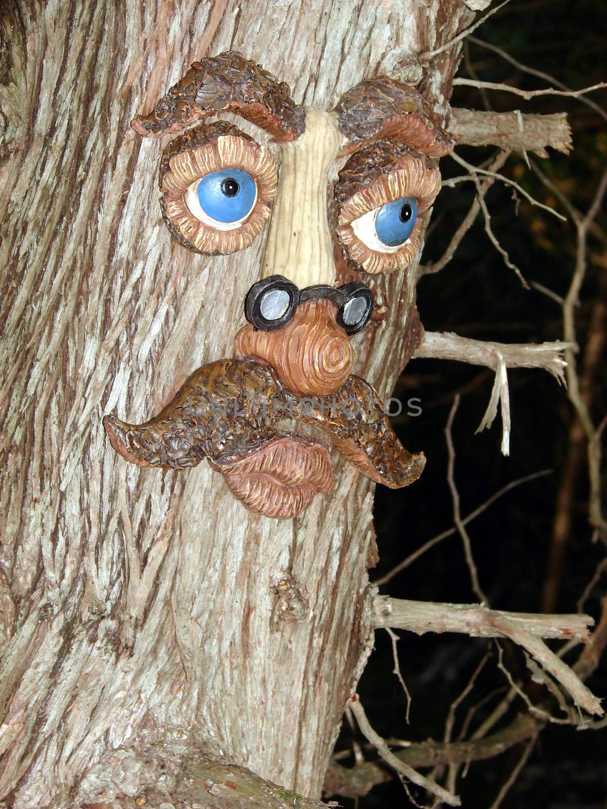 Face in a tree 1 by Thorvis