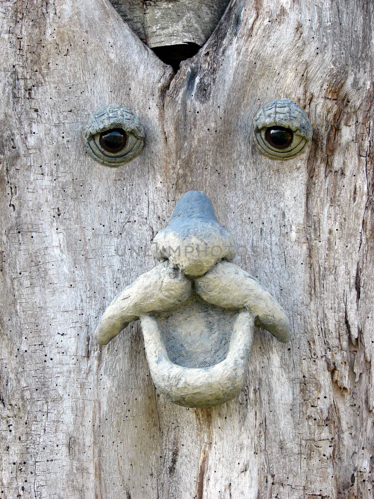Face in a tree 2 by Thorvis