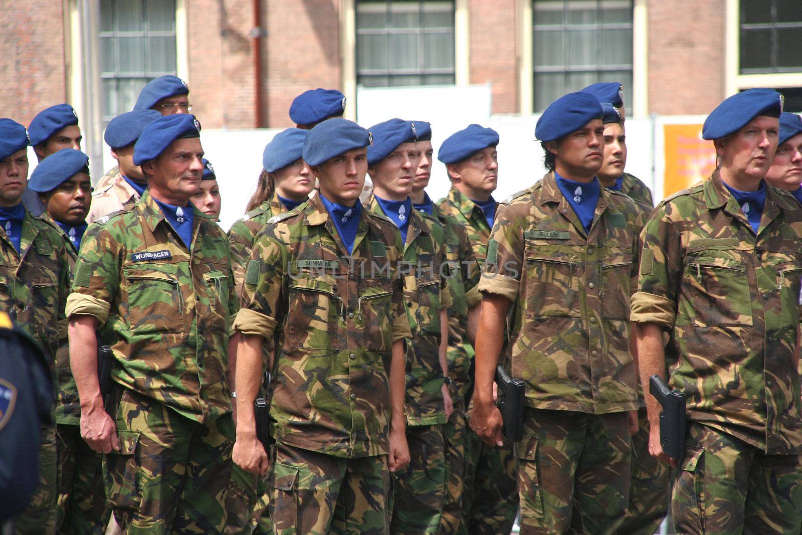 UN soldiers on Veterans Day parade