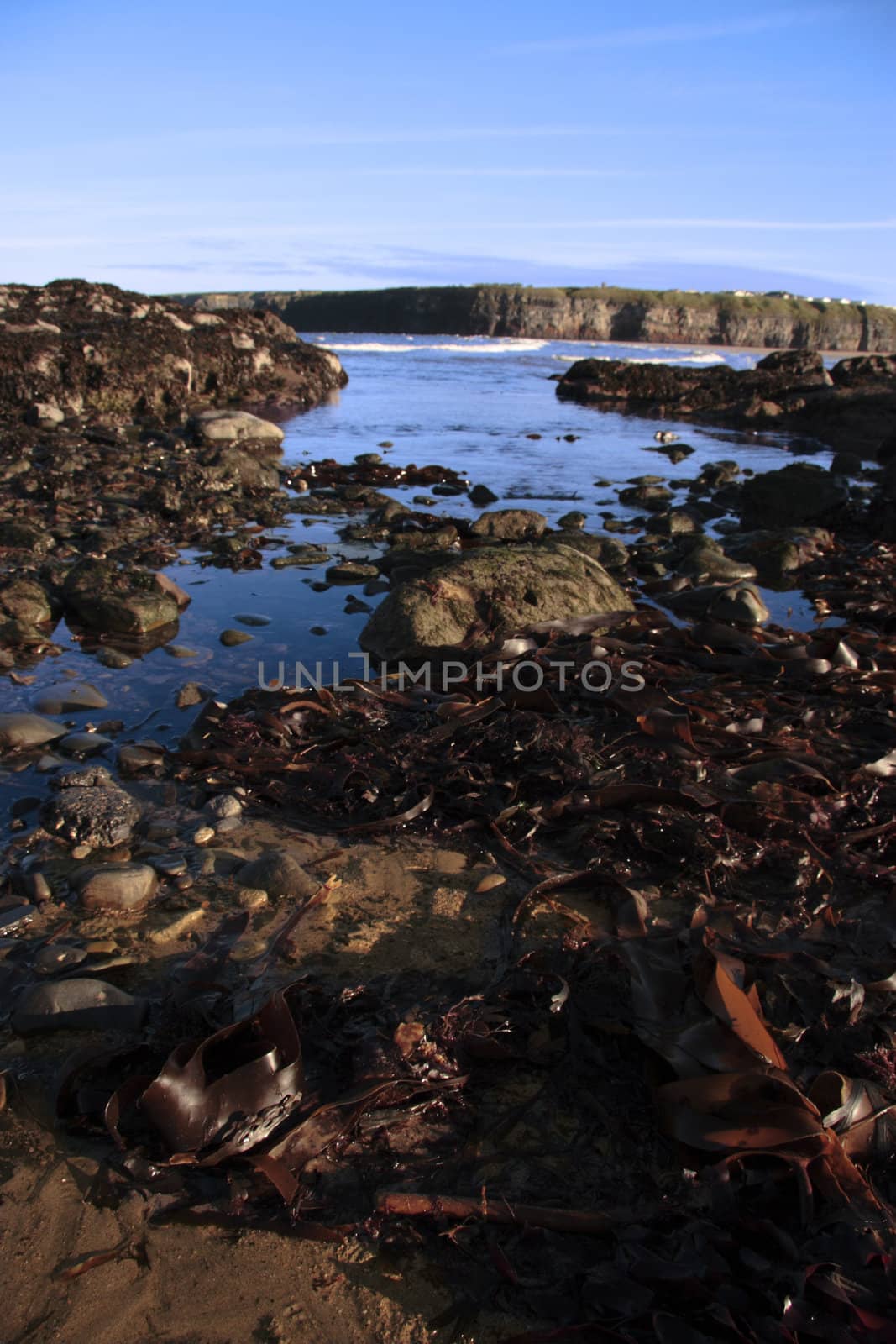 ballybunion beach view 4 by morrbyte