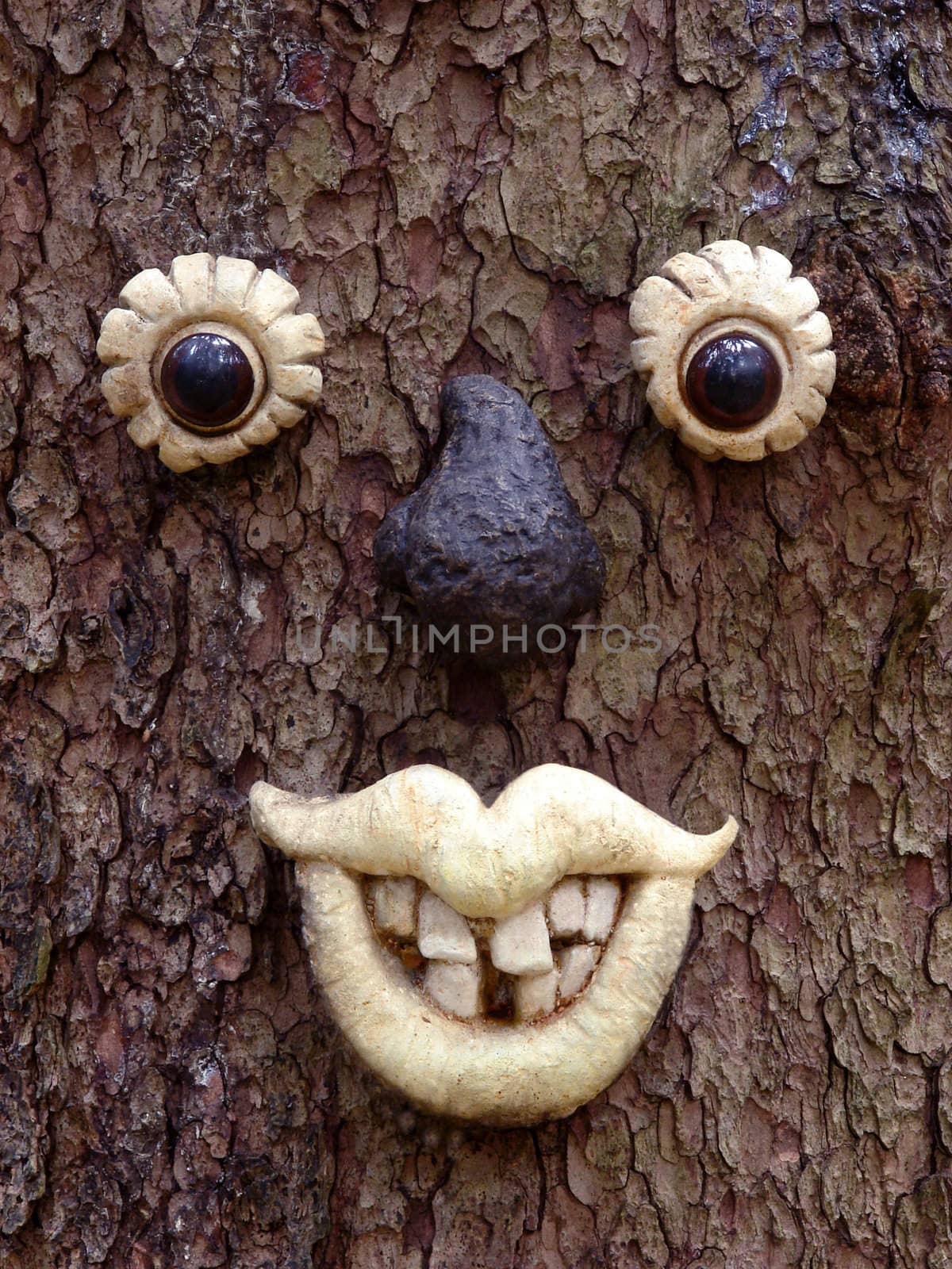 Man face in a tree in the forest