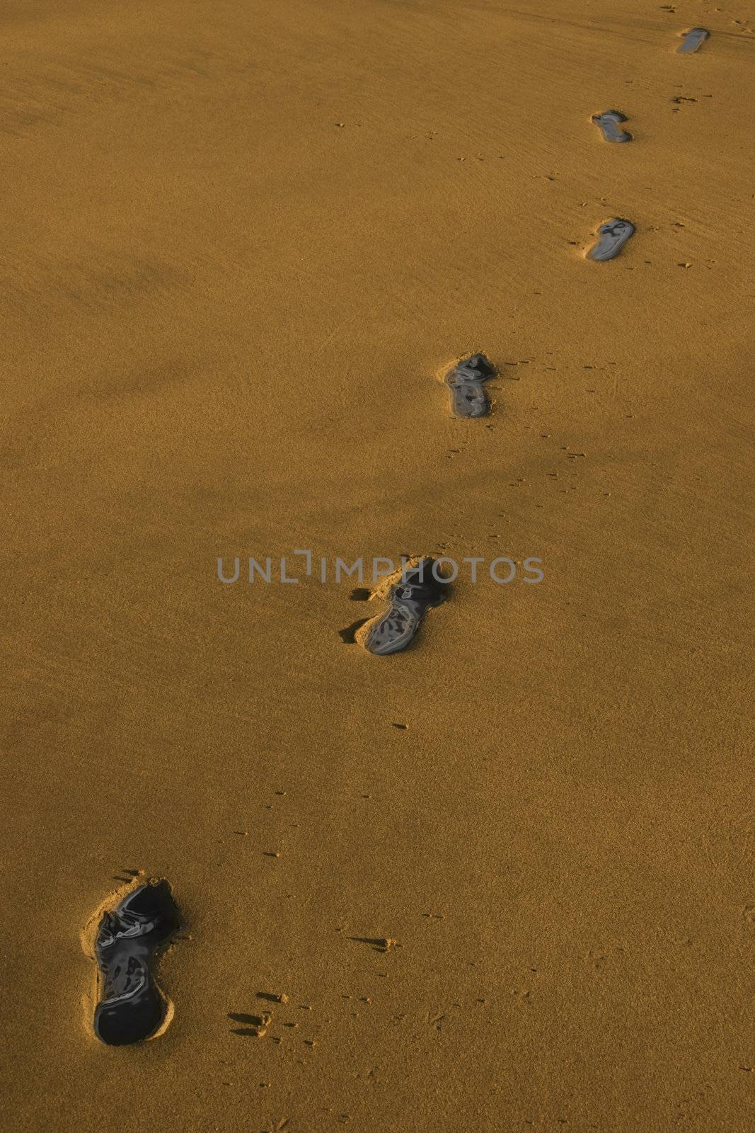 carbon footprint tracks on a beach in ireland