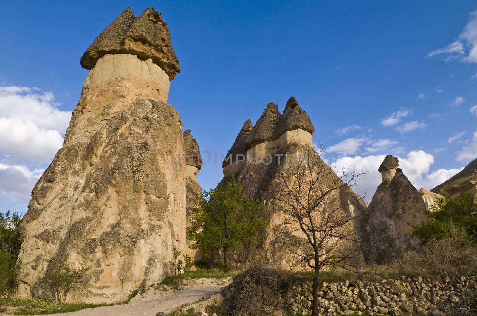 the speciel stone formation of cappadocia turkey 