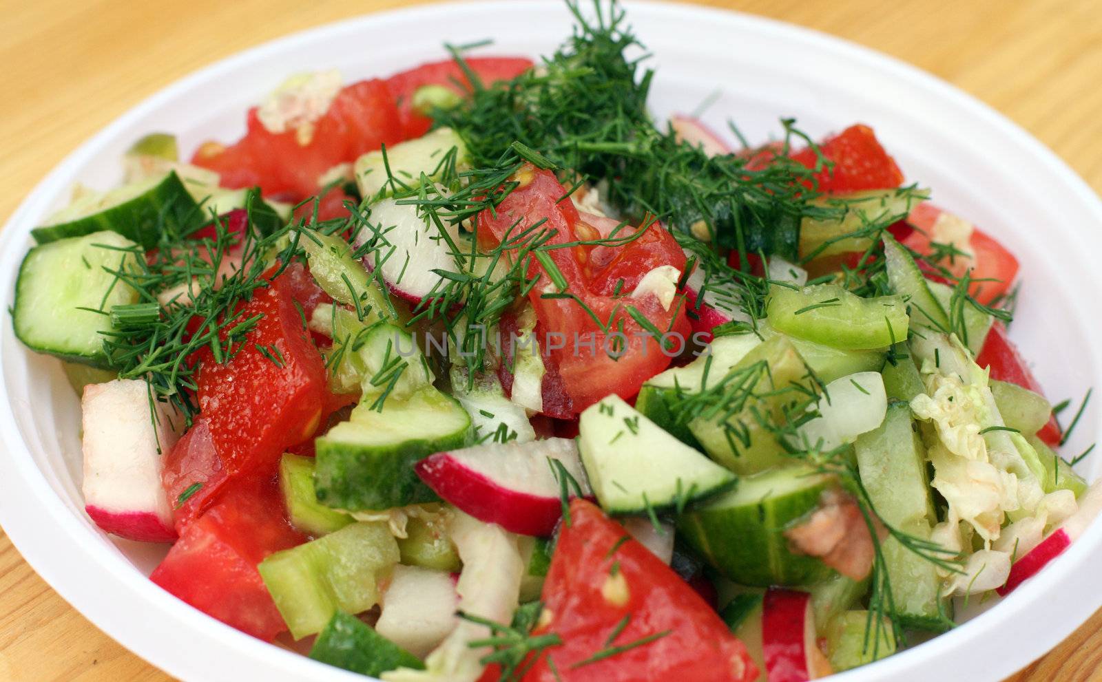 salad, vegetables, tomato, fennel, cucumber, garden, radish, plate, table