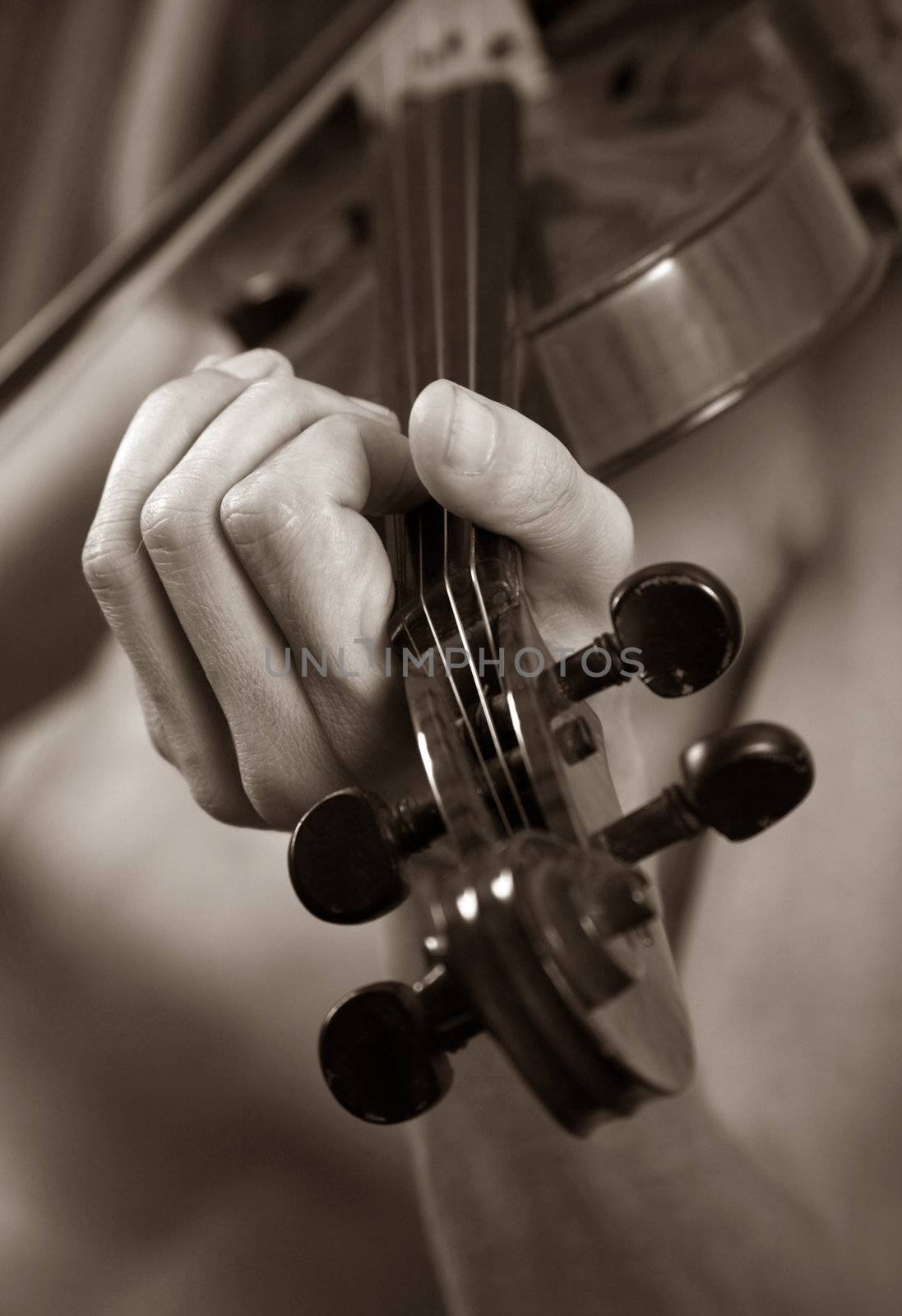 Musician playing violin close-up in studio