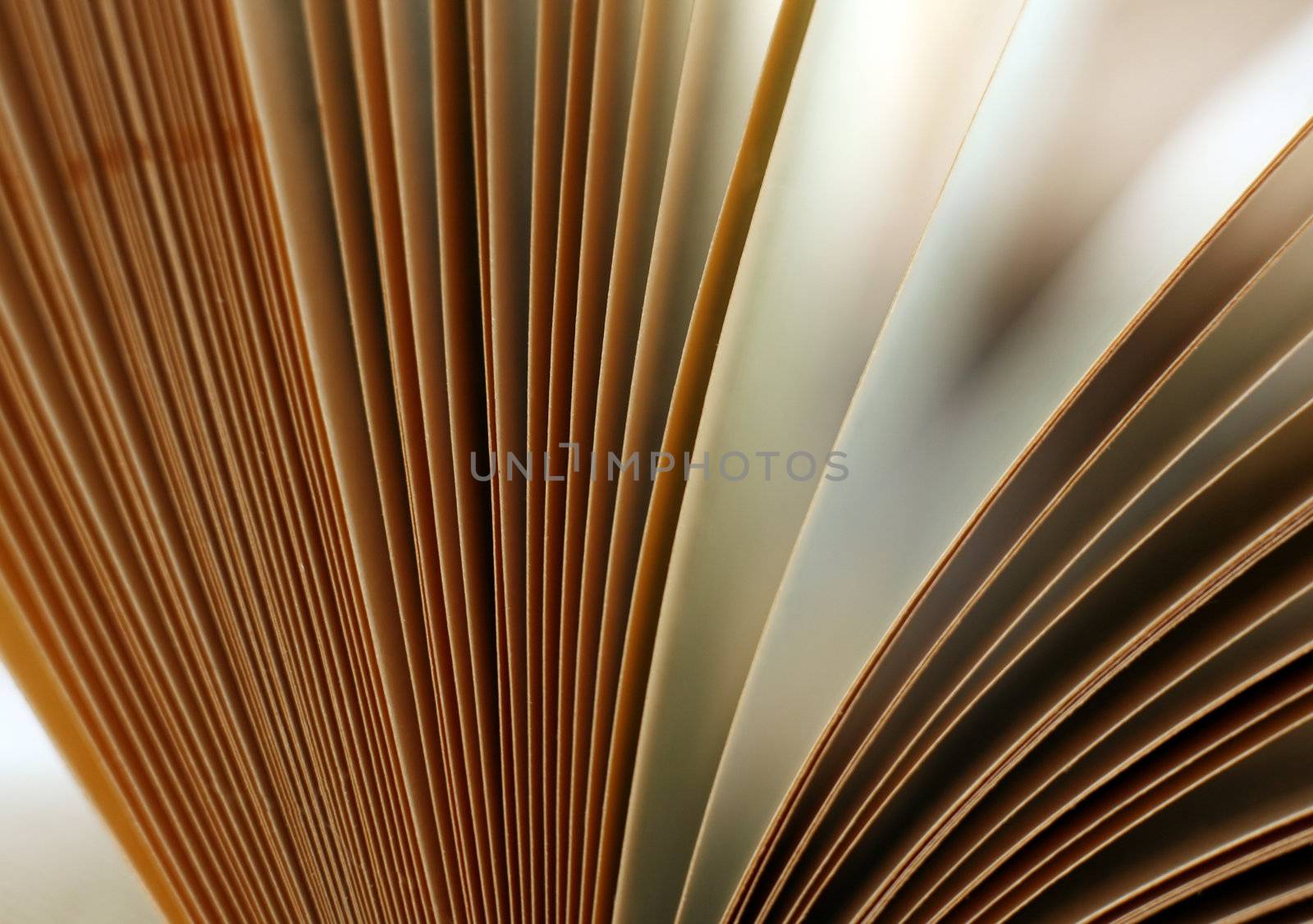 The image of the open book close-up