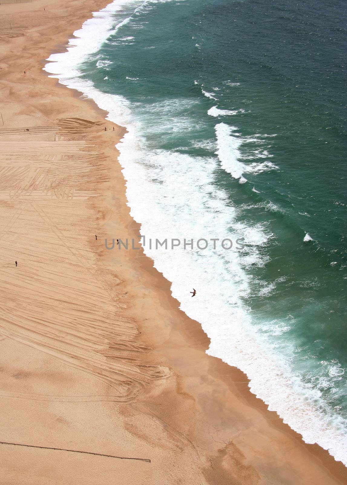 Birdview of the shore of the ocean