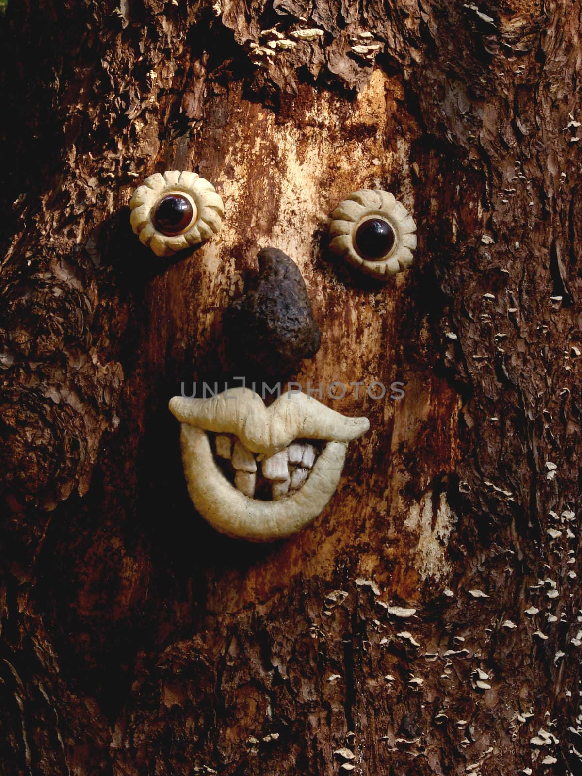 Face in a tree 15 by Thorvis