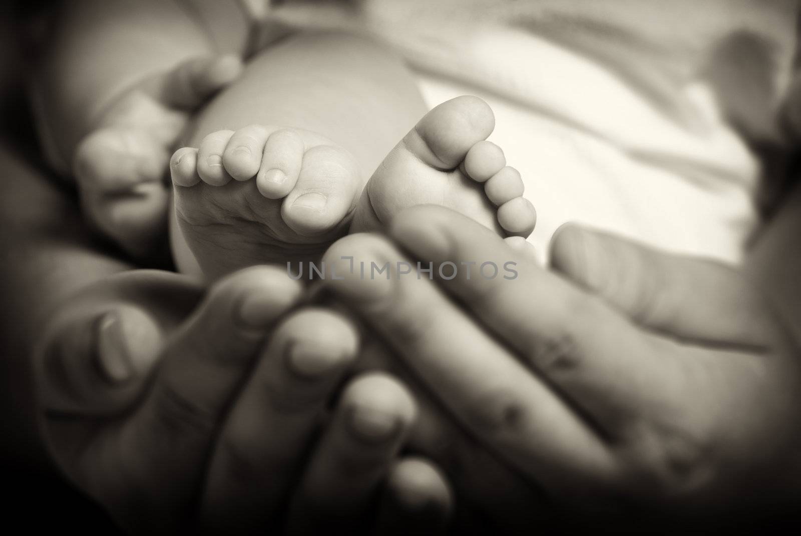 Foots the baby in adult hands. Old monochrome by galdzer