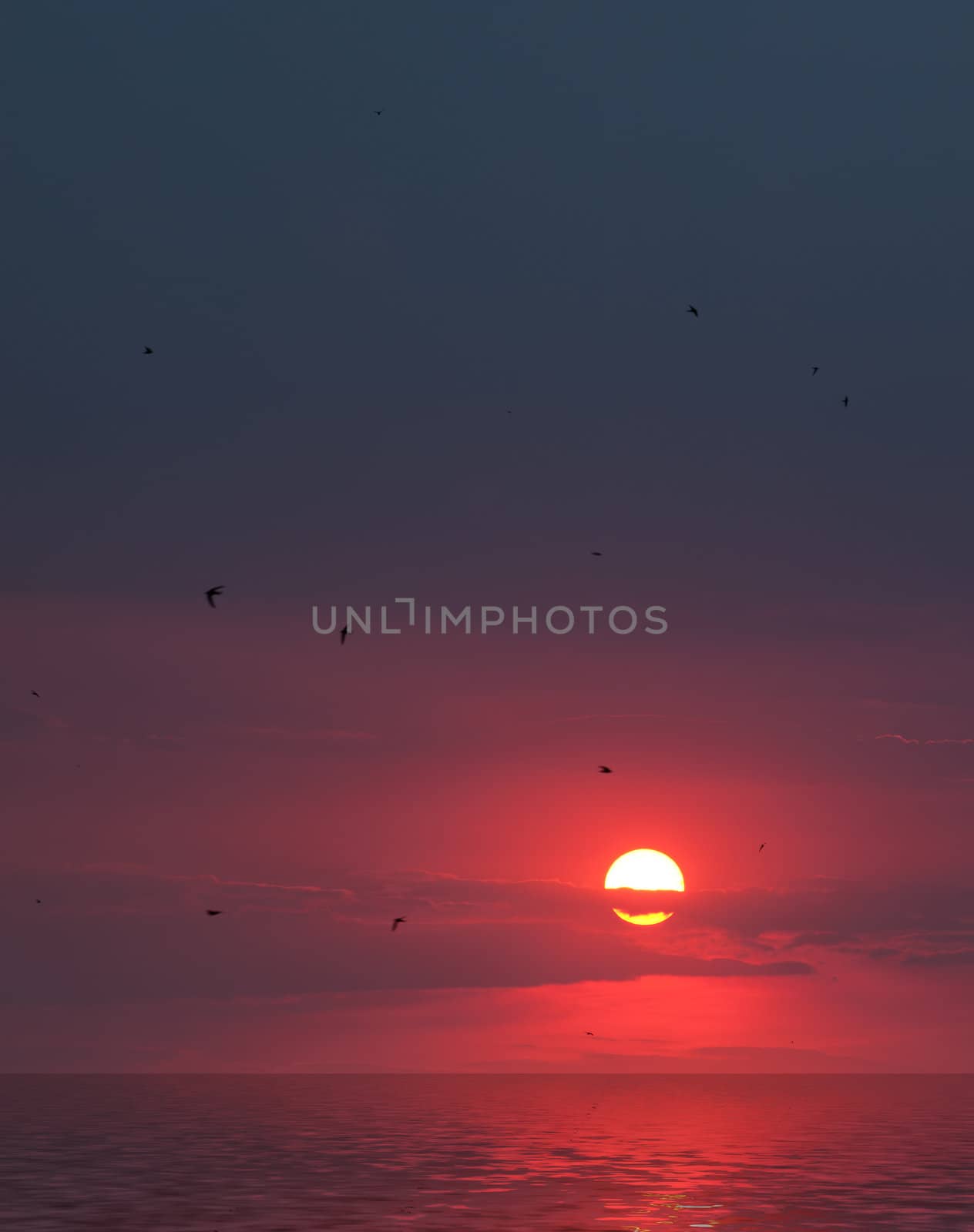 Picturesque sunset. Aabove water with reflection