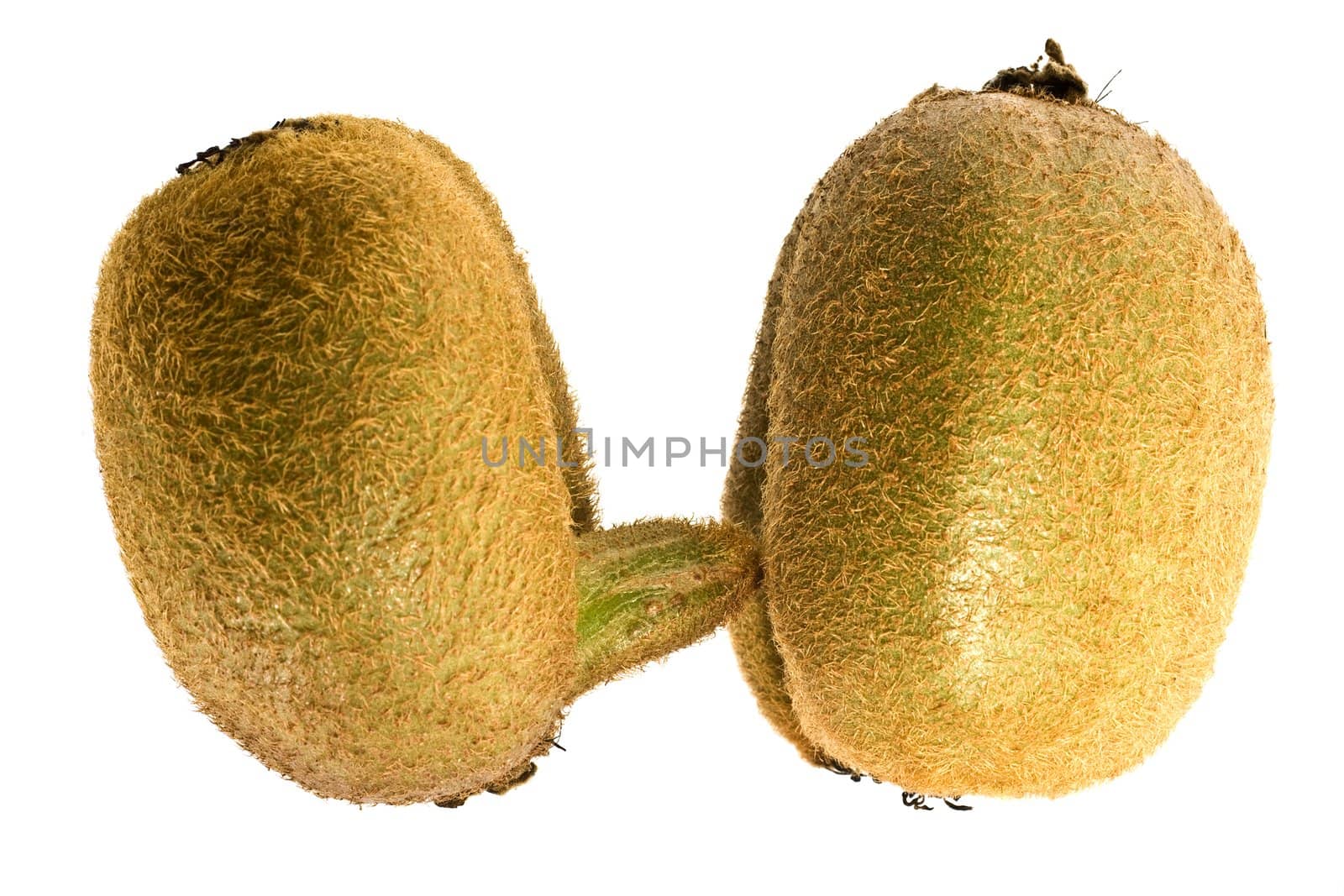 kiwifruit on white background