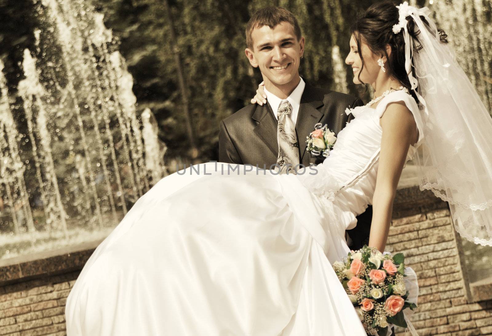 The groom holds the bride on hands. A happy newly-married couple on a background of a fountain