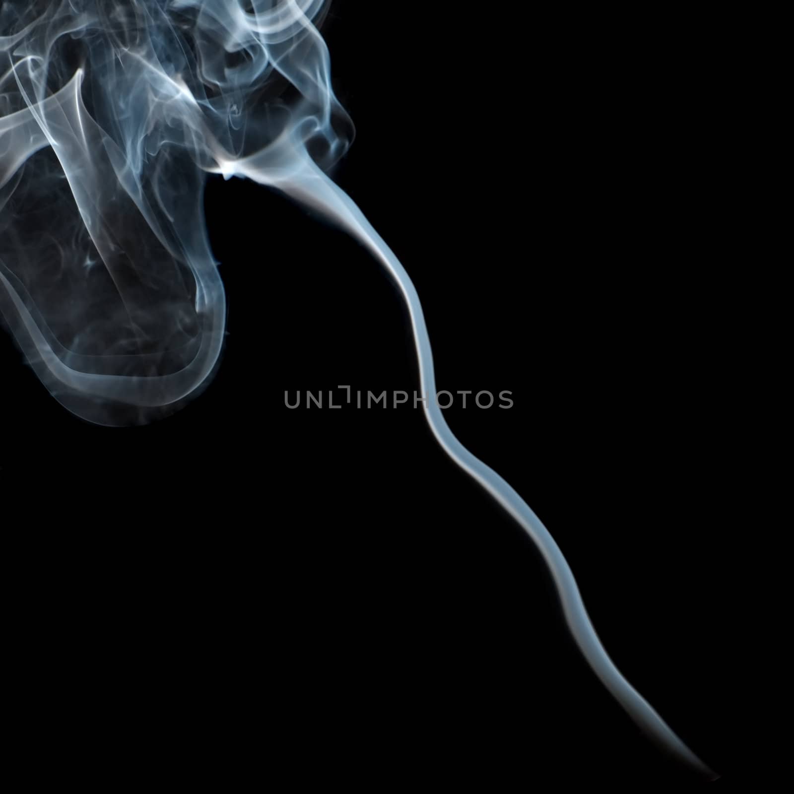 Smoke from black background. The abstract image of a smoke on a white background