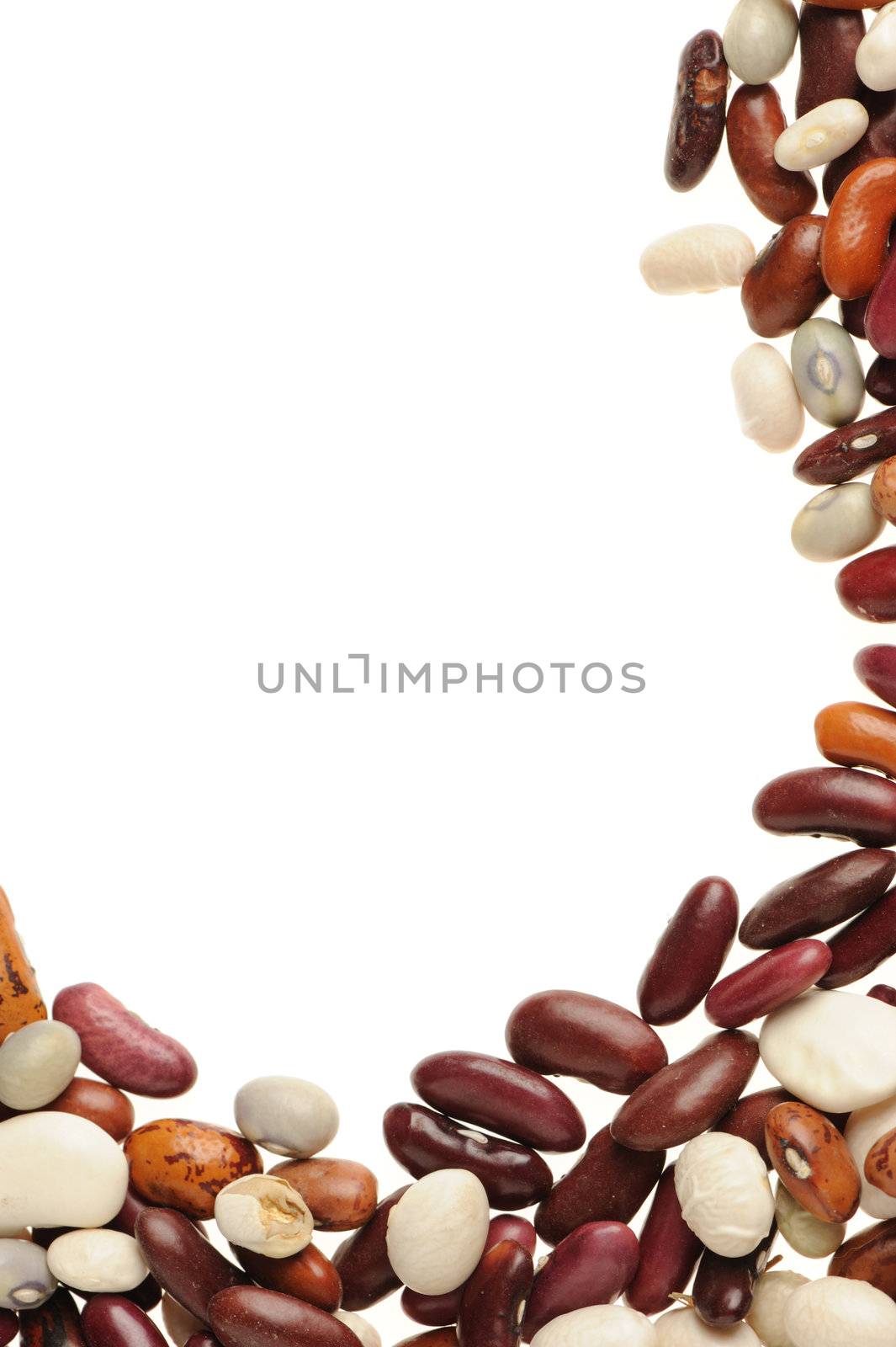 String bean. A bean food stuffs it is isolated on a white background