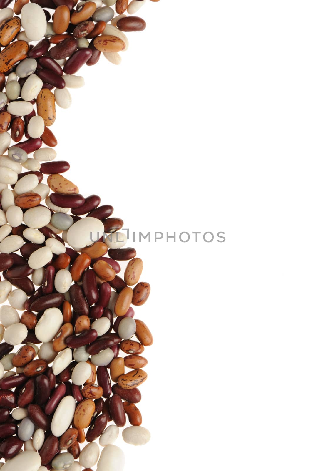 String bean. A bean food stuffs it is isolated on a white background