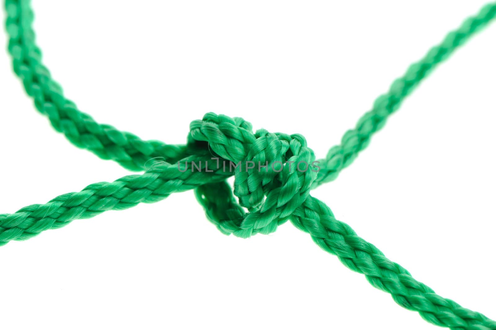 Knot on a cord. Isolated on a white background