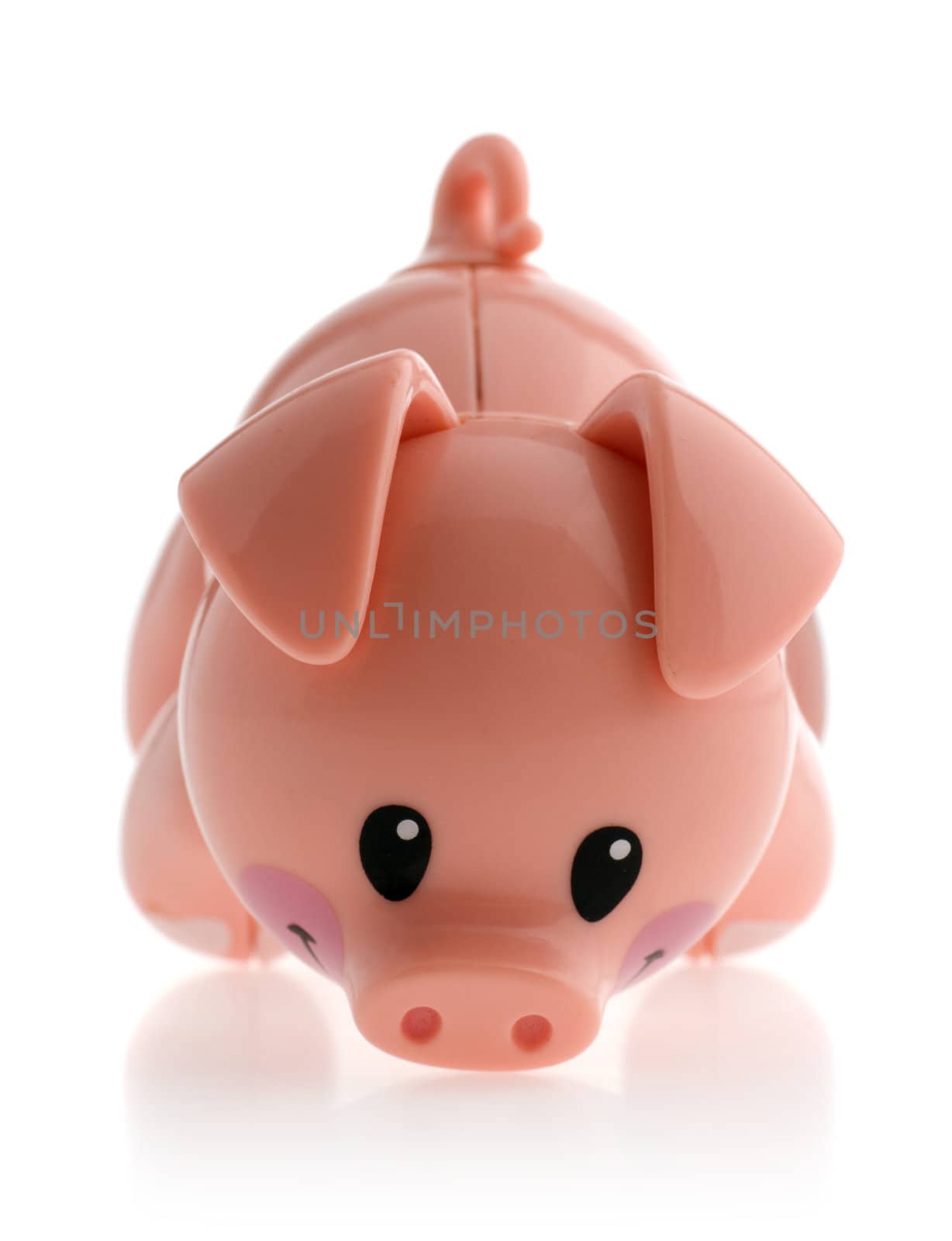 Pig. Toy model of a pig it is isolated on a white background