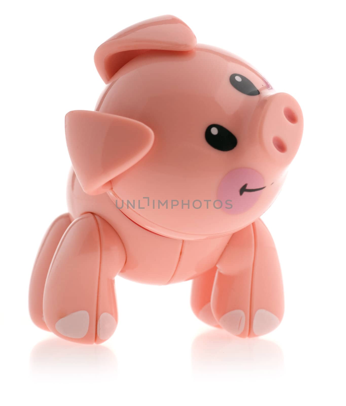 Pig. Toy model of a pig it is isolated on a white background