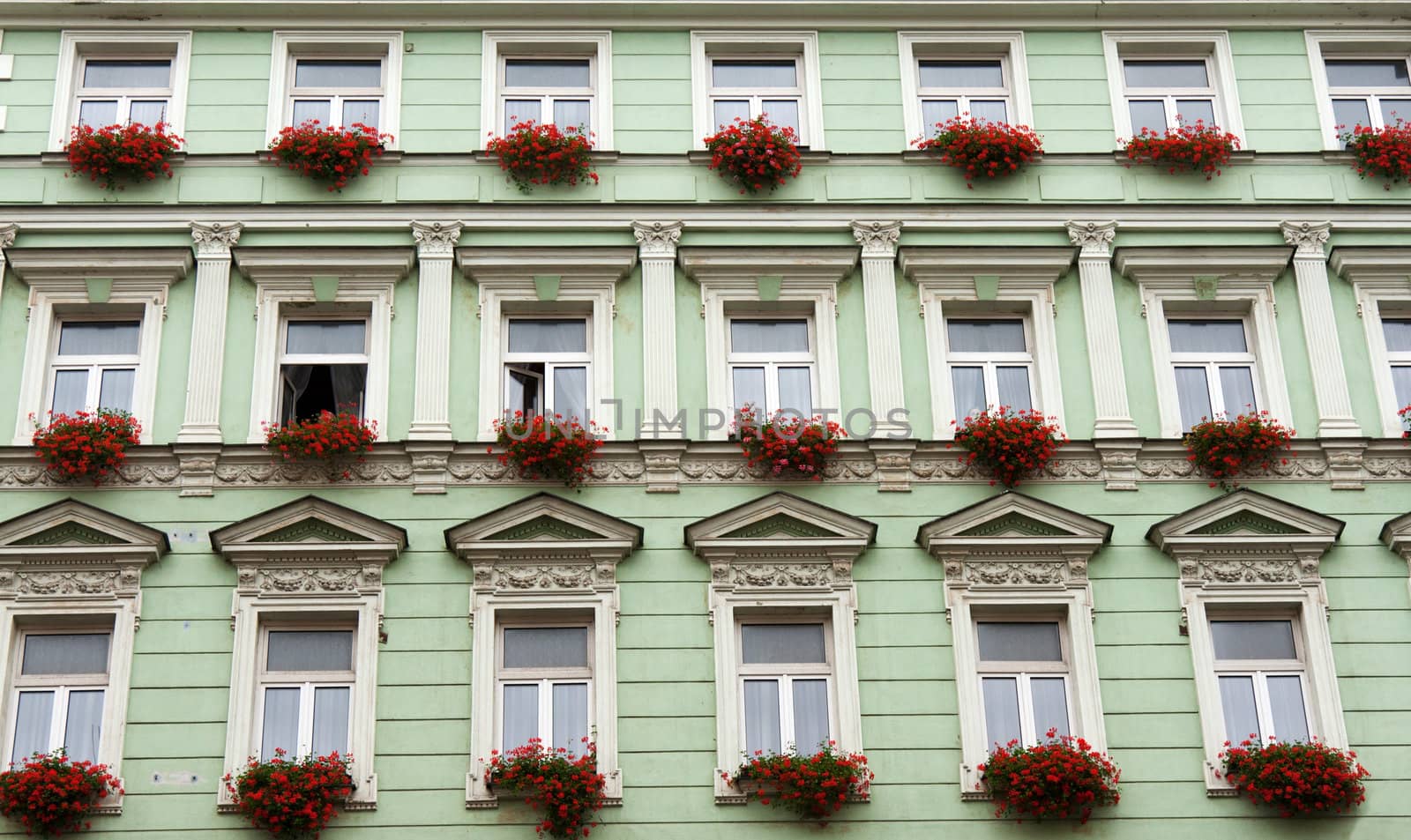 Facade of the green building and red flowerses on window