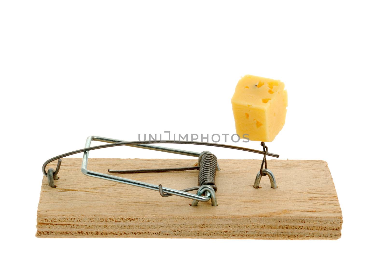 Mousetrap with cheese. The adaptation for catching mice and other fine rodents 