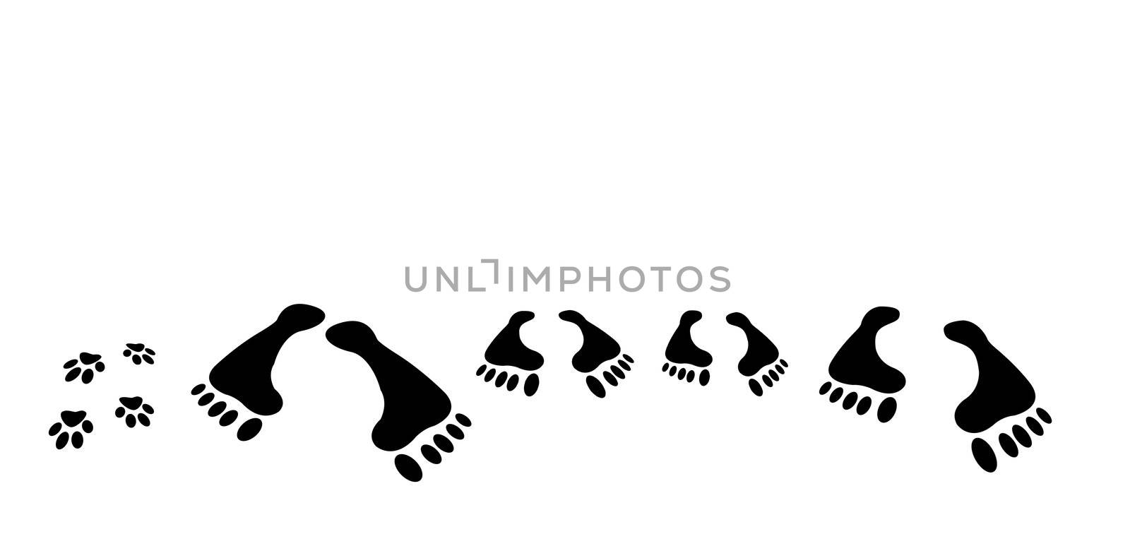 traces of family. It is isolated on a white background ������������ the image of traces from legs of the person