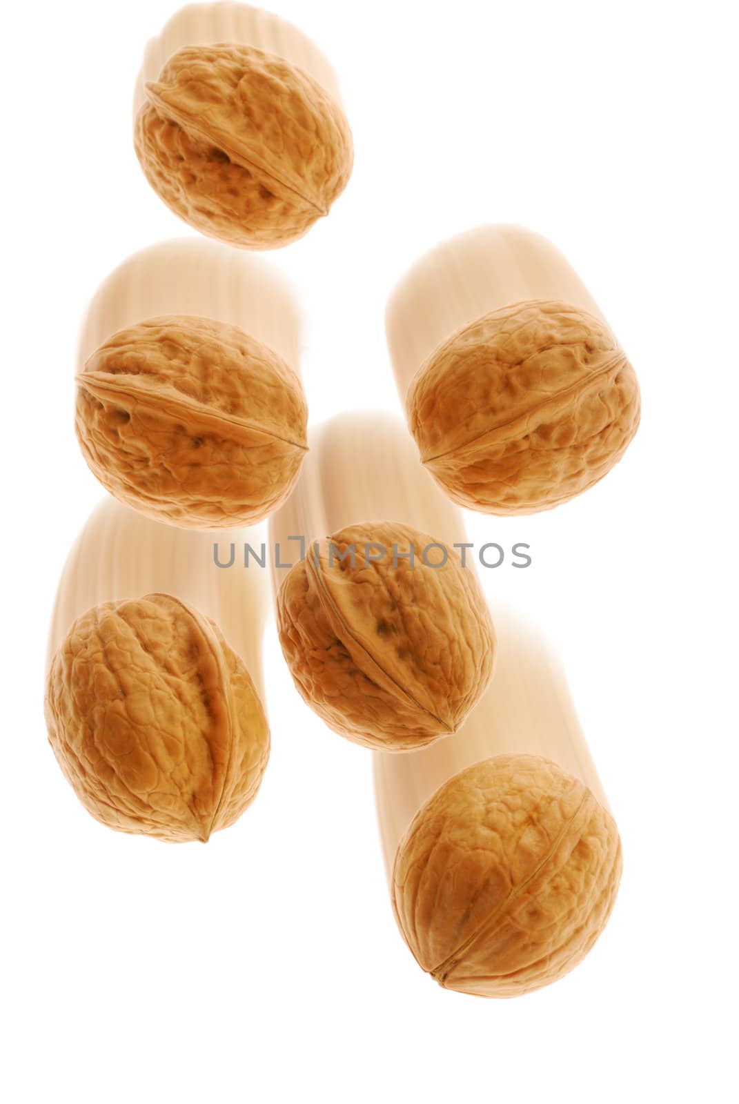 Walnut. It is isolated on the white background, the ripened fruit of a nut tree