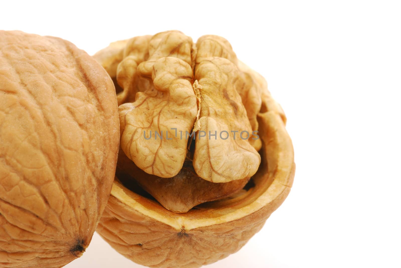 Walnut. It is isolated on the white background, the ripened fruit of a nut tree