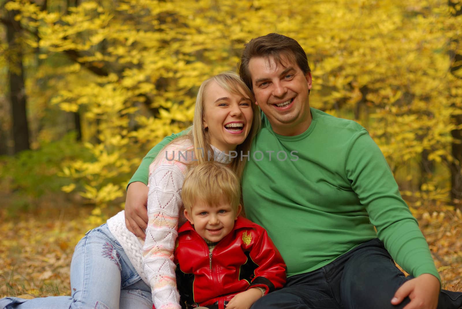 Family. Mum, the daddy, the son in autumn forest. Effective blur a background