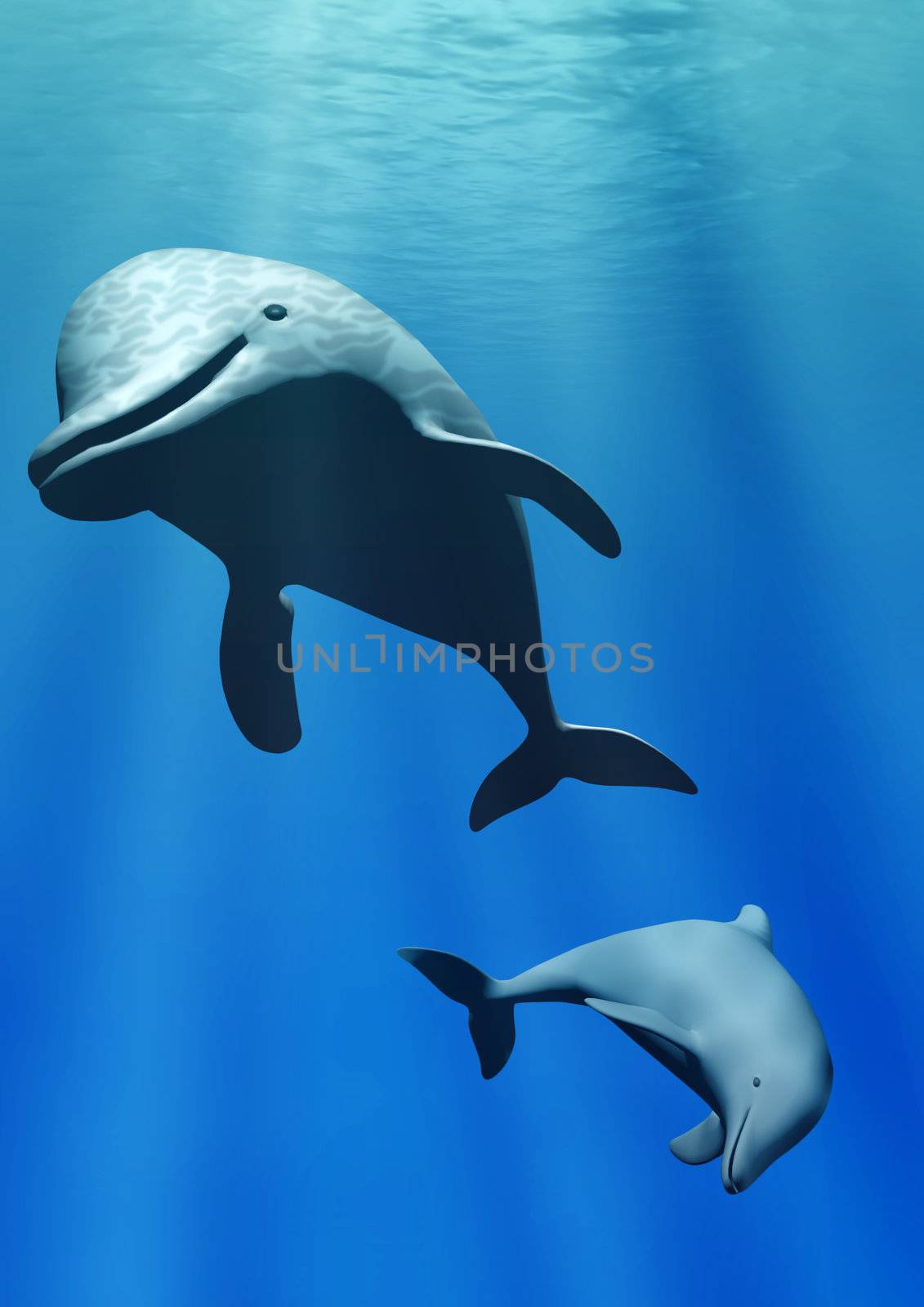 Dolphins under water. Two sea animals in blue water with effect of beams of the sun