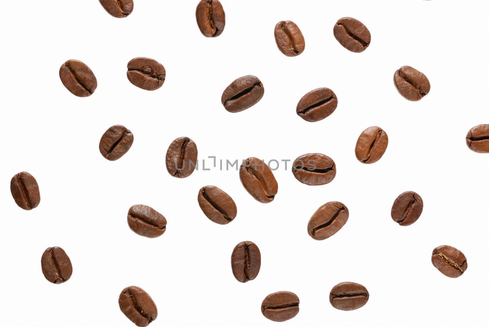 Coffee grains by galdzer