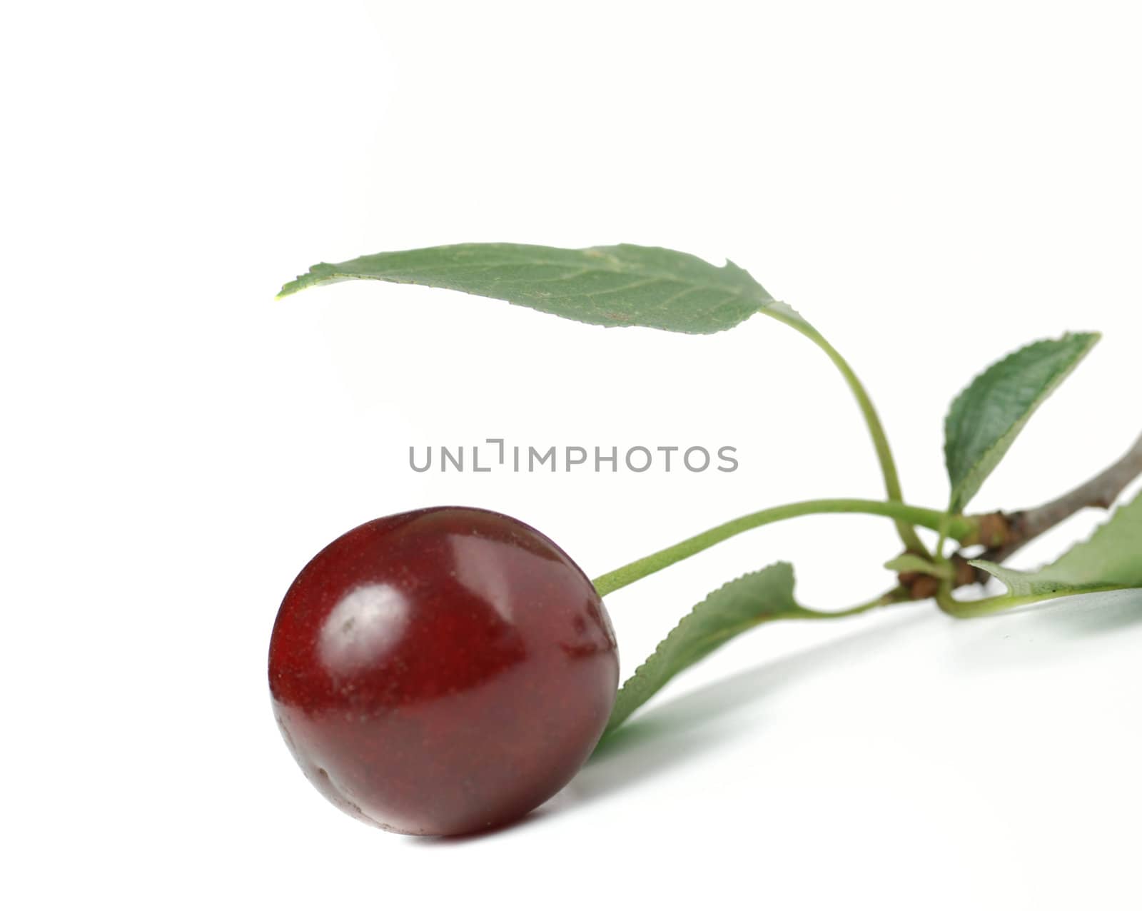 Cherry. A fruit of a fruit tree it is isolated on a white background
