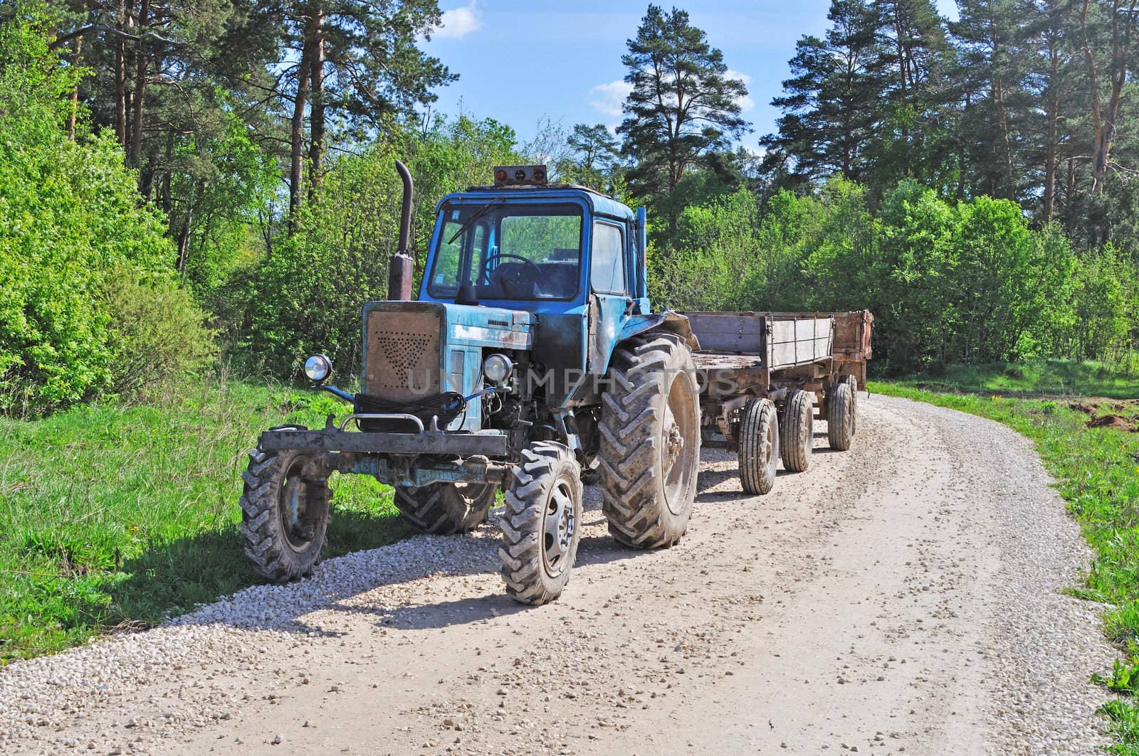 Tractor with trailer, country road in the forest, spring sunny day