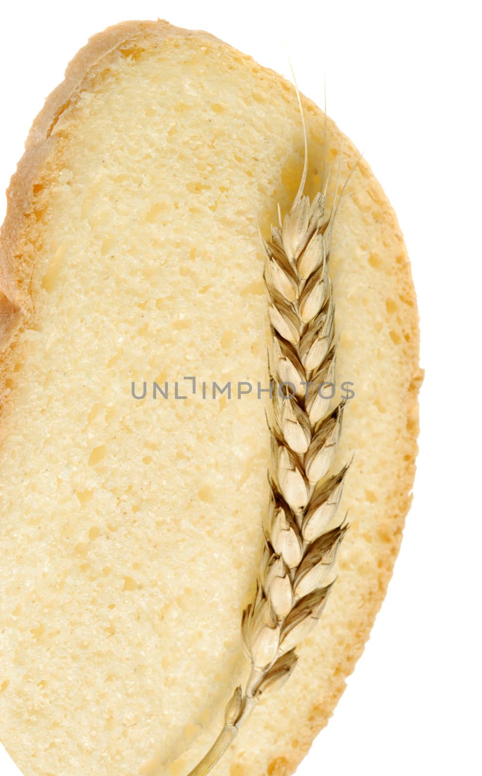 Wheat and cut bread. A ripe agriculture isolated on a white background