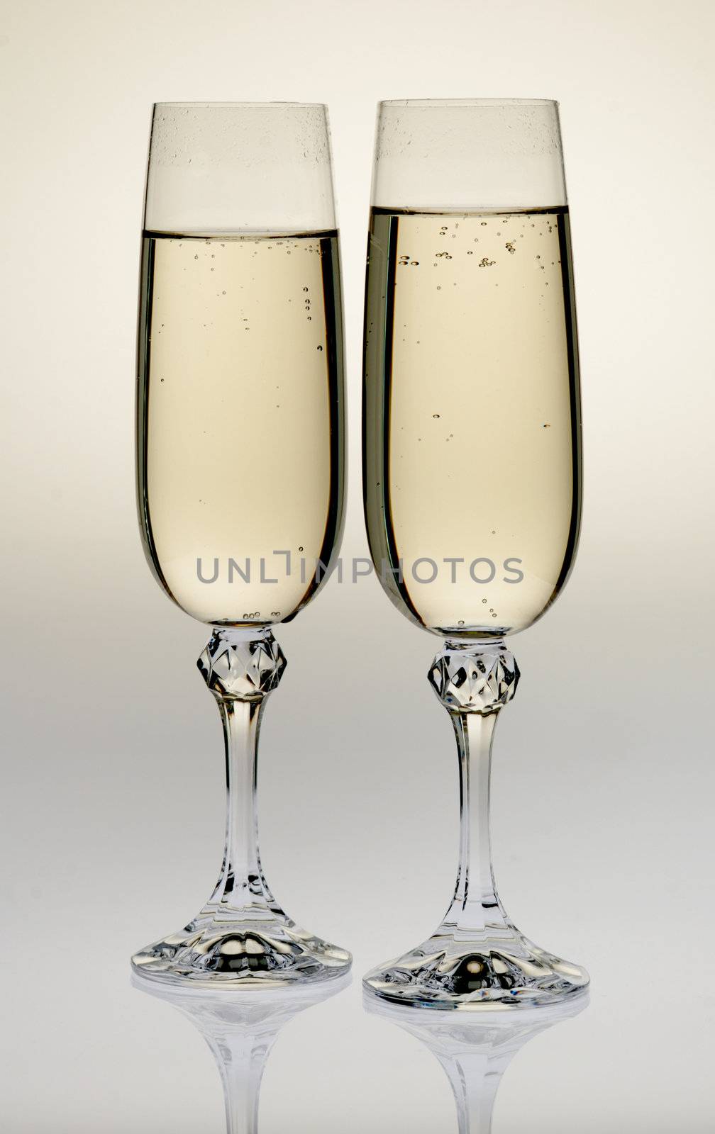 Wine glass with a champagne. A photo on a gleam, it is isolated on a white background