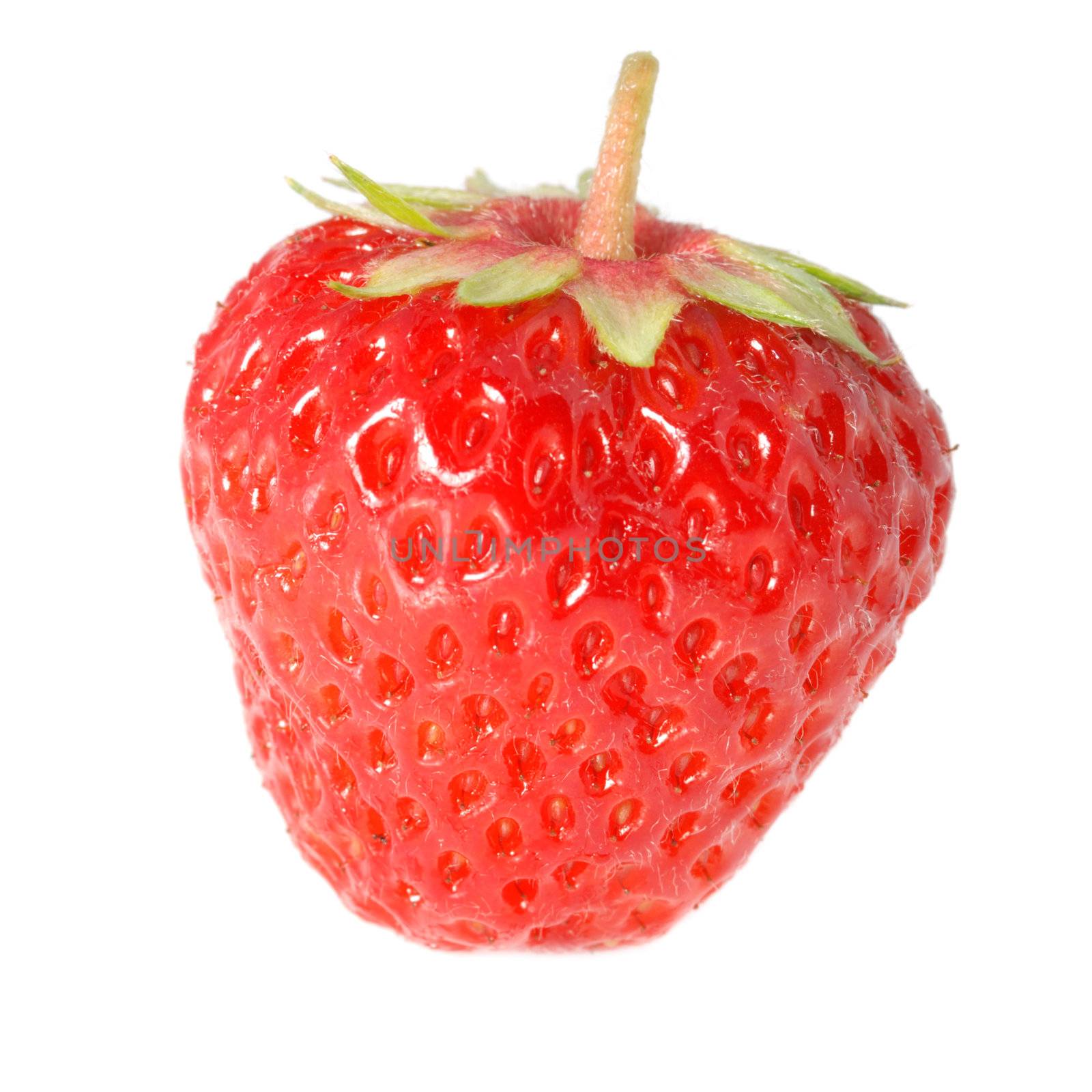 Strawberry by galdzer