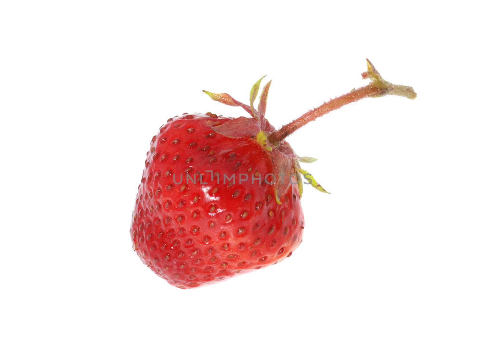 Strawberry. A berry isolated on a white background