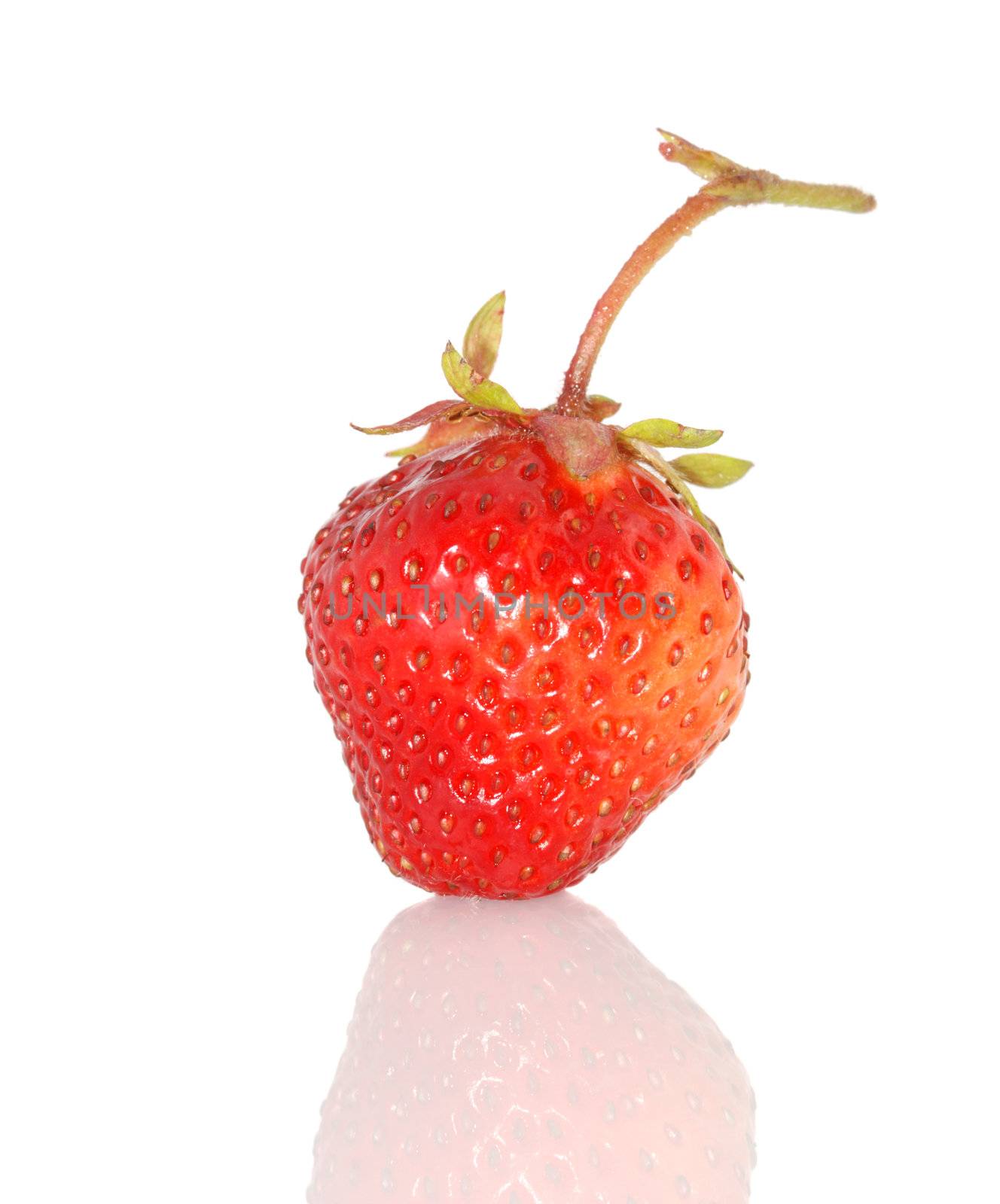 Strawberry. A berry isolated on a white background