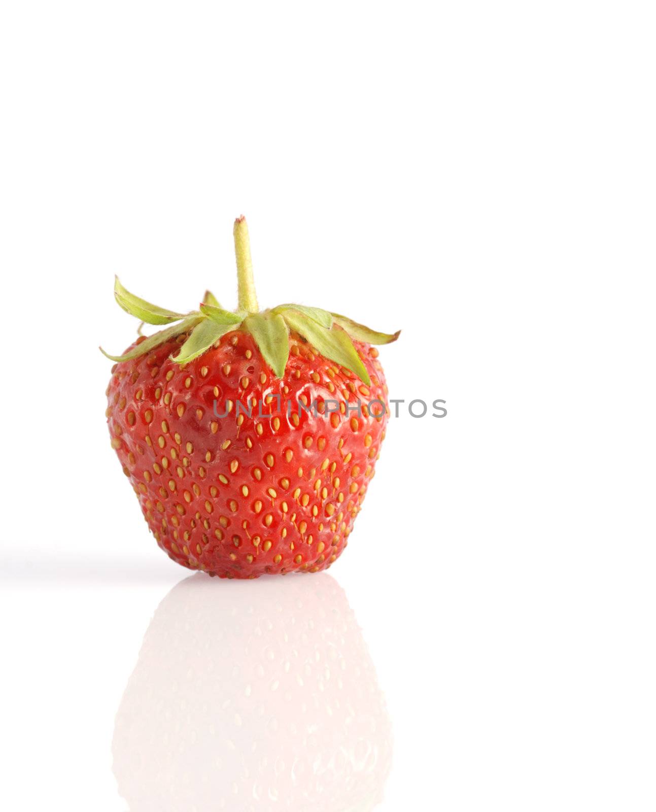 Strawberry by galdzer