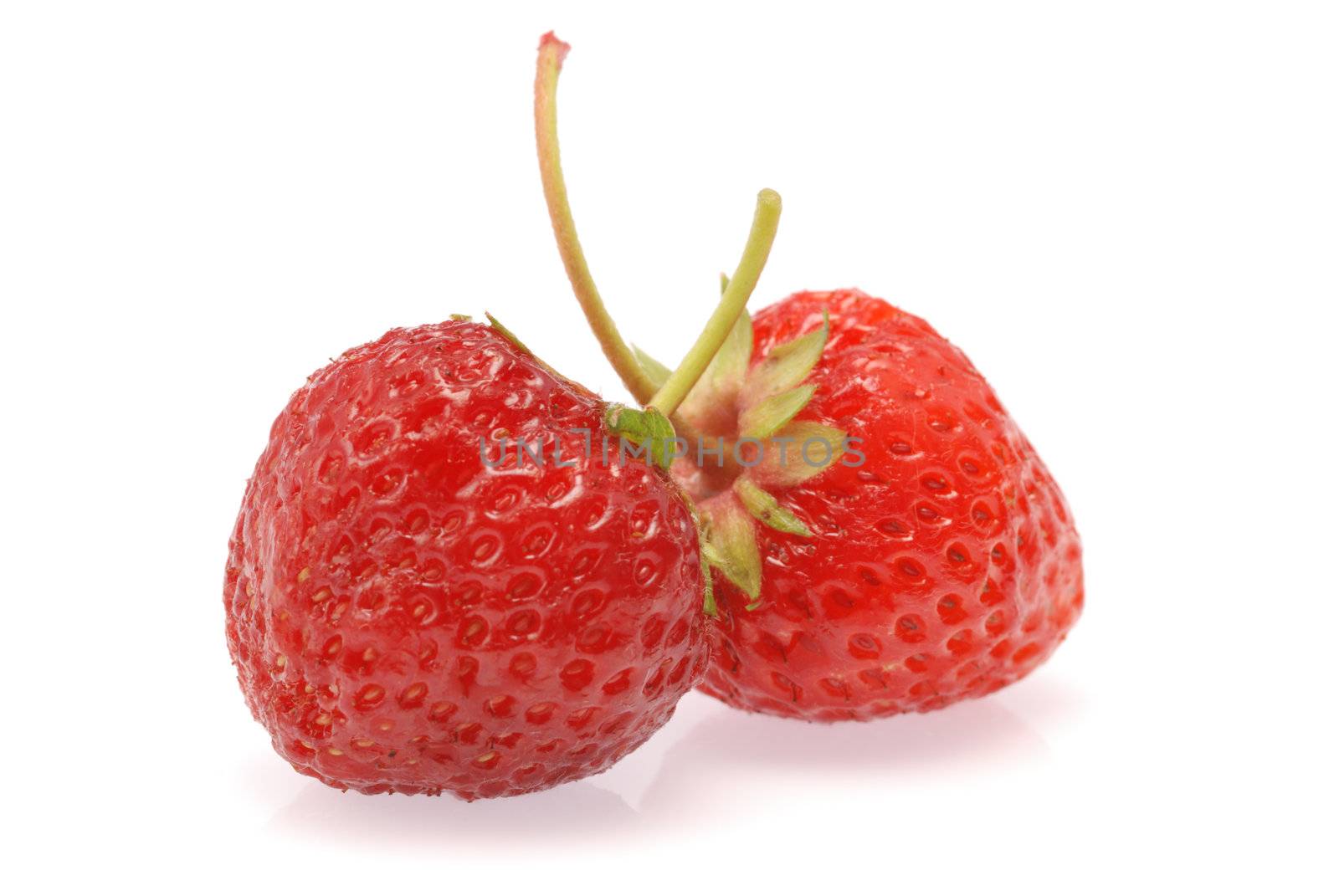 Strawberry by galdzer