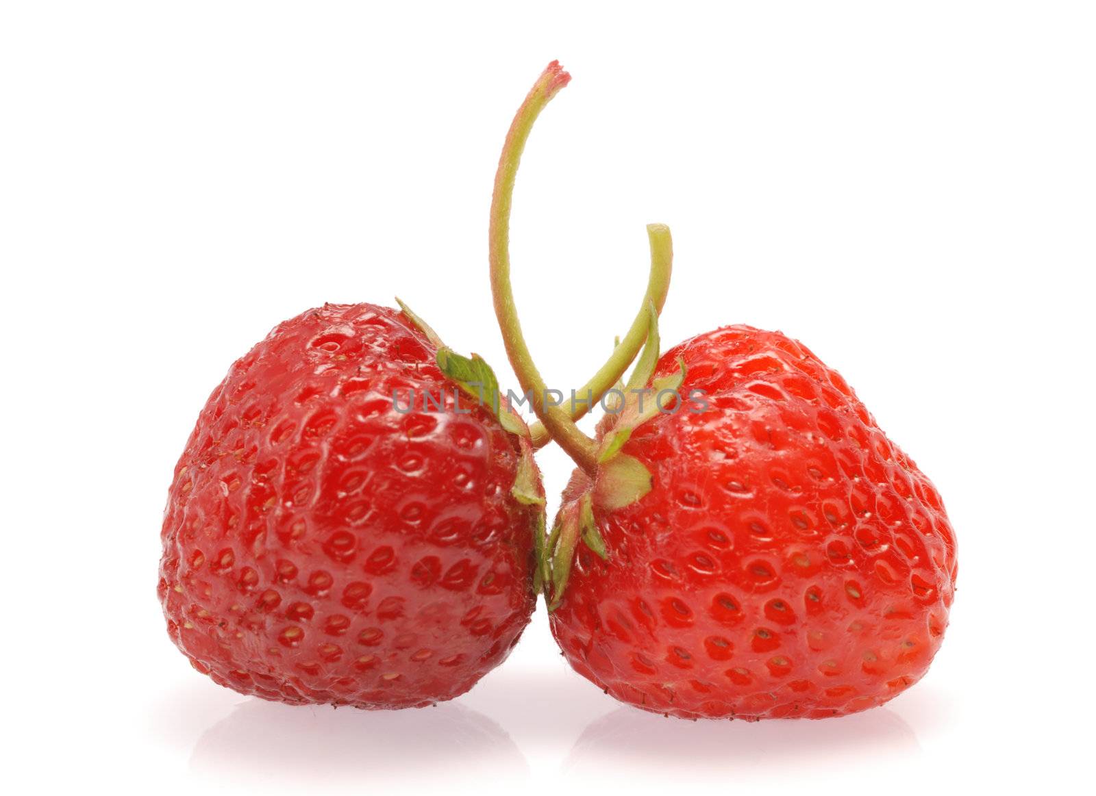 two strawberry by galdzer