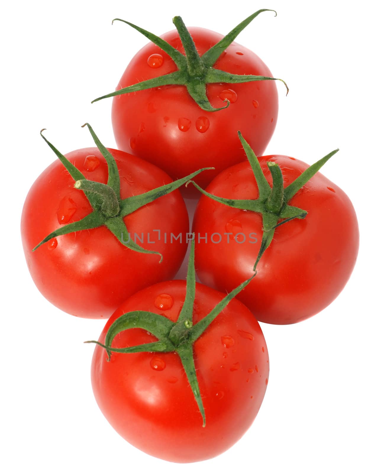 Tomato. A ripe vegetable with drops of dew.
